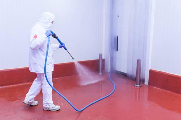  Sonoma State University, CA Pressure Washing Pros