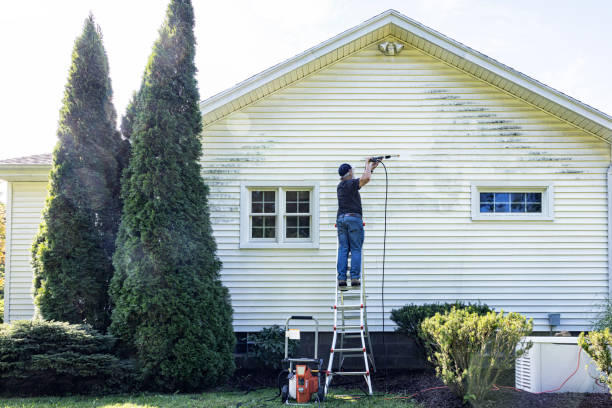 Best Driveway Pressure Washing  in Sonoma State University, CA